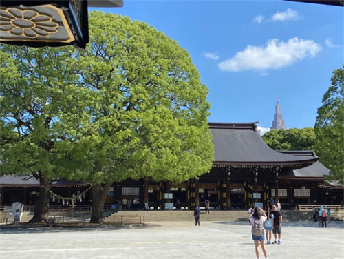 明治神宮御本殿